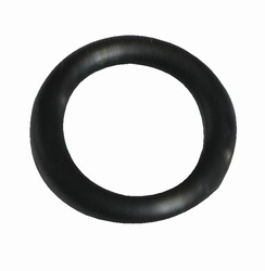 O RING HULE 319